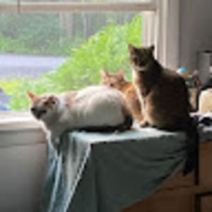 Meet your Posher, Manuel